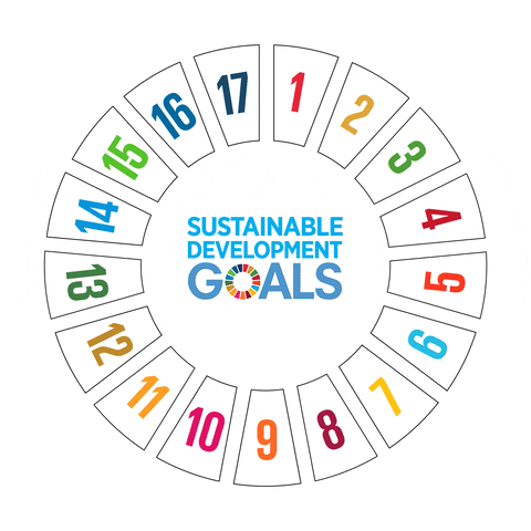 Global Goals